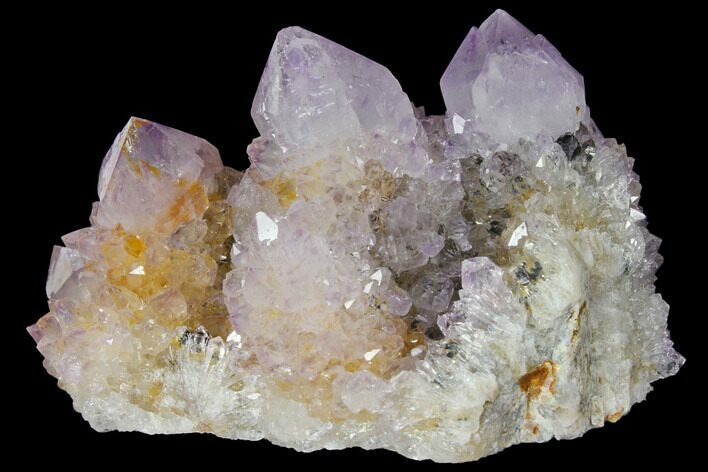 Cactus Quartz (Amethyst) Crystal Cluster - South Africa #132504